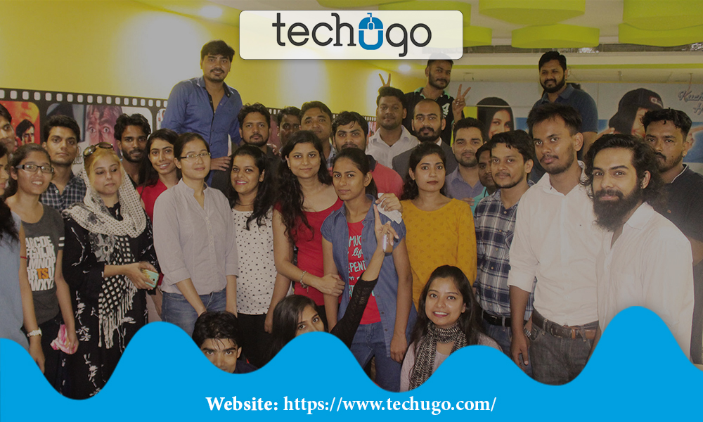 Techogo App Development Company